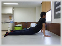 �X�g���b�`�b�X�|�[�c���n�r���e�[�V�����̏a�J���`�O�Ȉ�@�ł�