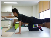 �X�g���b�`�b�X�|�[�c���n�r���e�[�V�����̏a�J���`�O�Ȉ�@�ł�