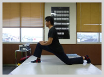 �X�g���b�`�b�X�|�[�c���n�r���e�[�V�����̏a�J���`�O�Ȉ�@�ł�