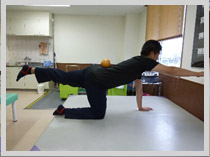 �X�g���b�`�b�X�|�[�c���n�r���e�[�V�����̏a�J���`�O�Ȉ�@�ł�