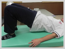 �X�g���b�`�b�X�|�[�c���n�r���e�[�V�����̏a�J���`�O�Ȉ�@�ł�